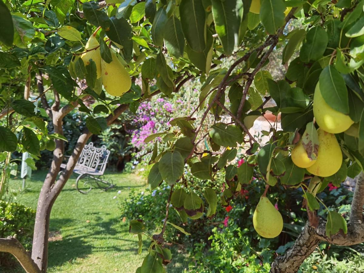Il Giardino Di Tatiana Rooms & Breakfast ลามัดดาเลนา ภายนอก รูปภาพ