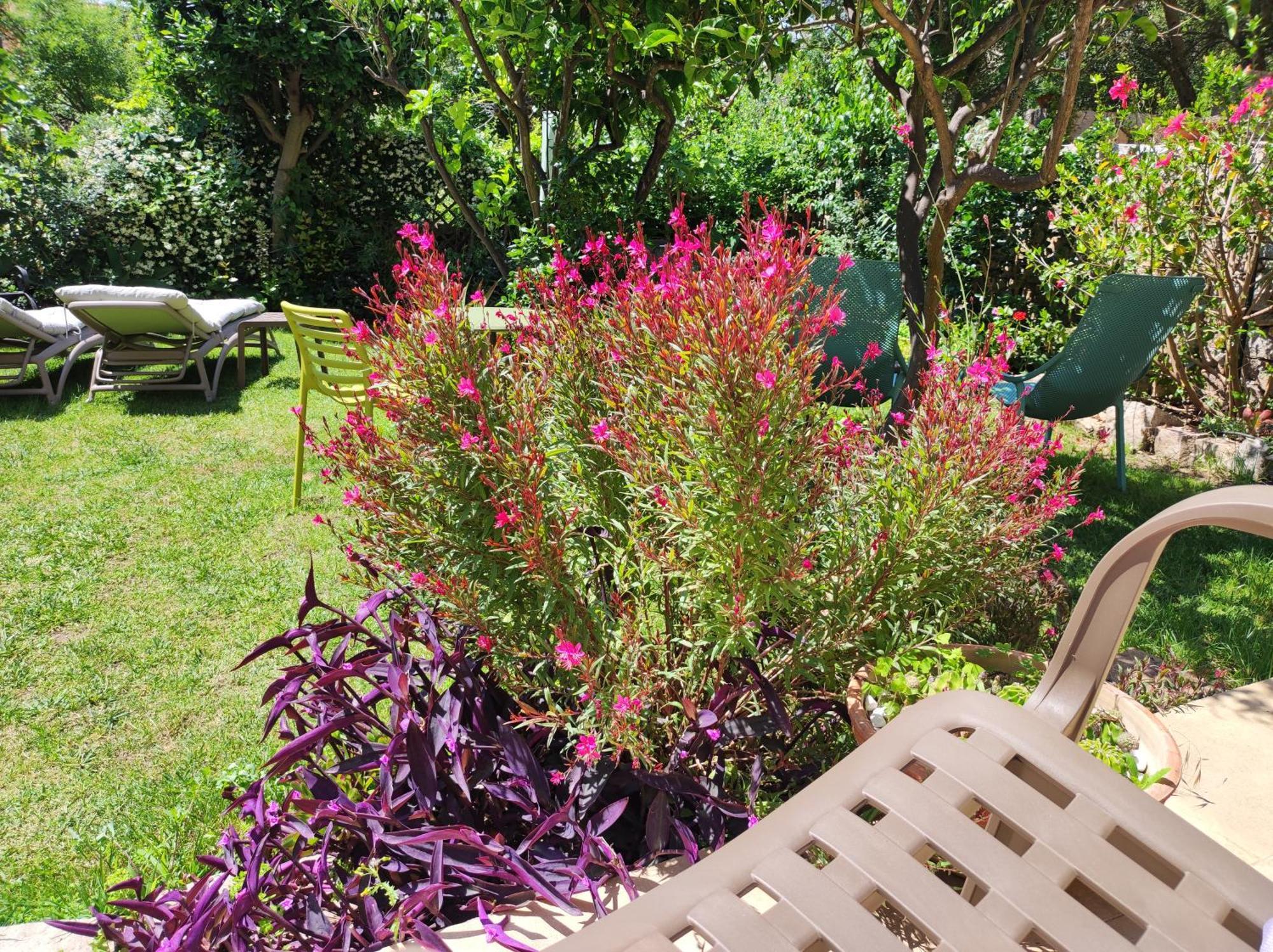 Il Giardino Di Tatiana Rooms & Breakfast ลามัดดาเลนา ภายนอก รูปภาพ
