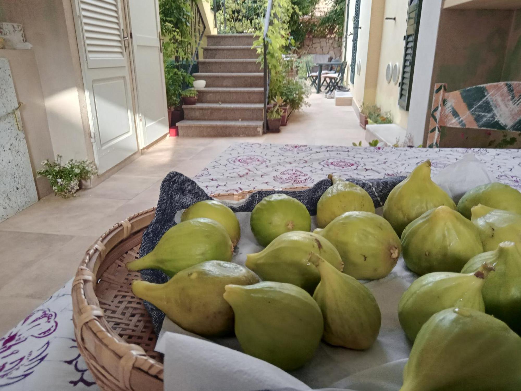 Il Giardino Di Tatiana Rooms & Breakfast ลามัดดาเลนา ห้อง รูปภาพ