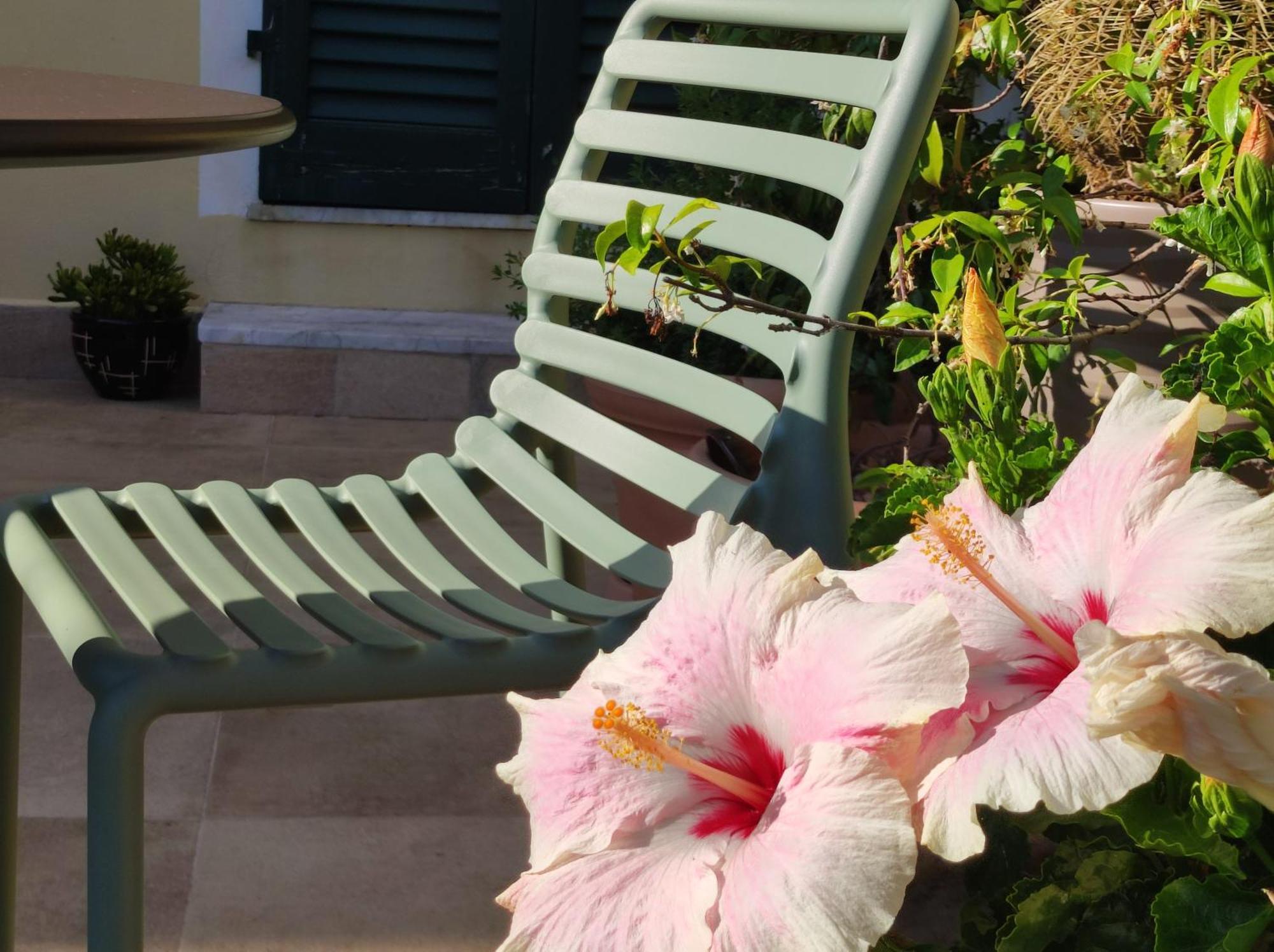 Il Giardino Di Tatiana Rooms & Breakfast ลามัดดาเลนา ห้อง รูปภาพ