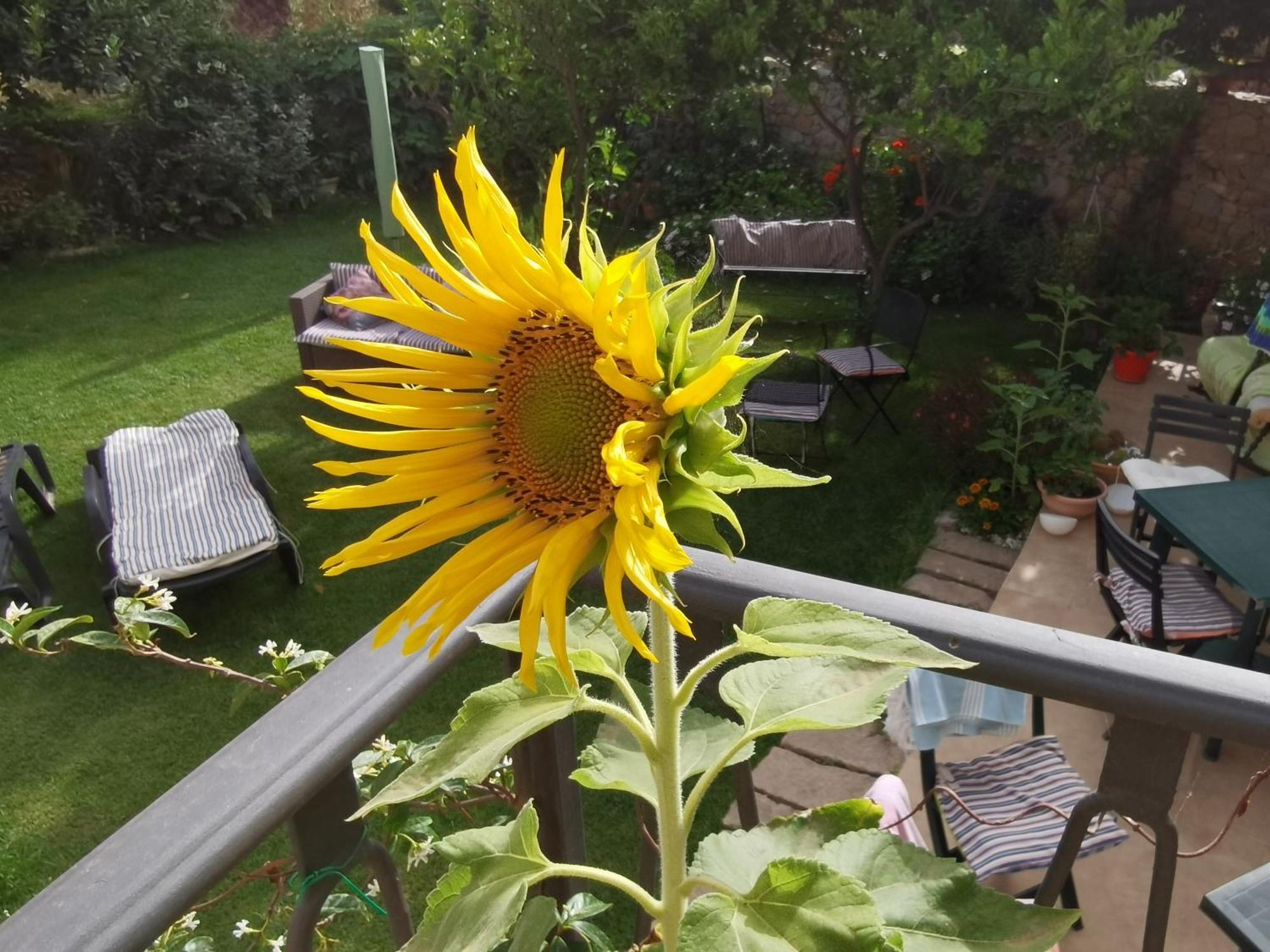 Il Giardino Di Tatiana Rooms & Breakfast ลามัดดาเลนา ห้อง รูปภาพ