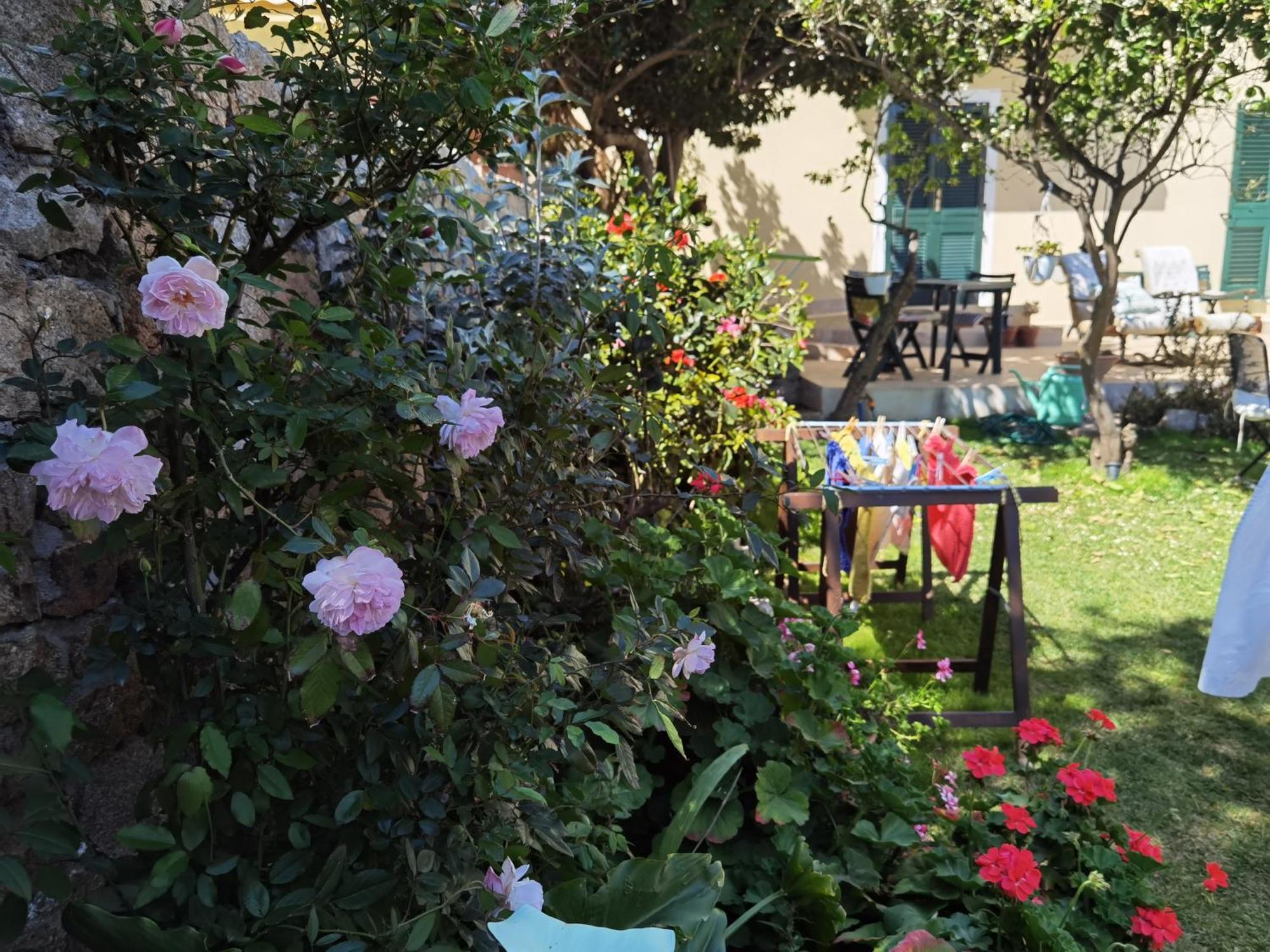 Il Giardino Di Tatiana Rooms & Breakfast ลามัดดาเลนา ห้อง รูปภาพ