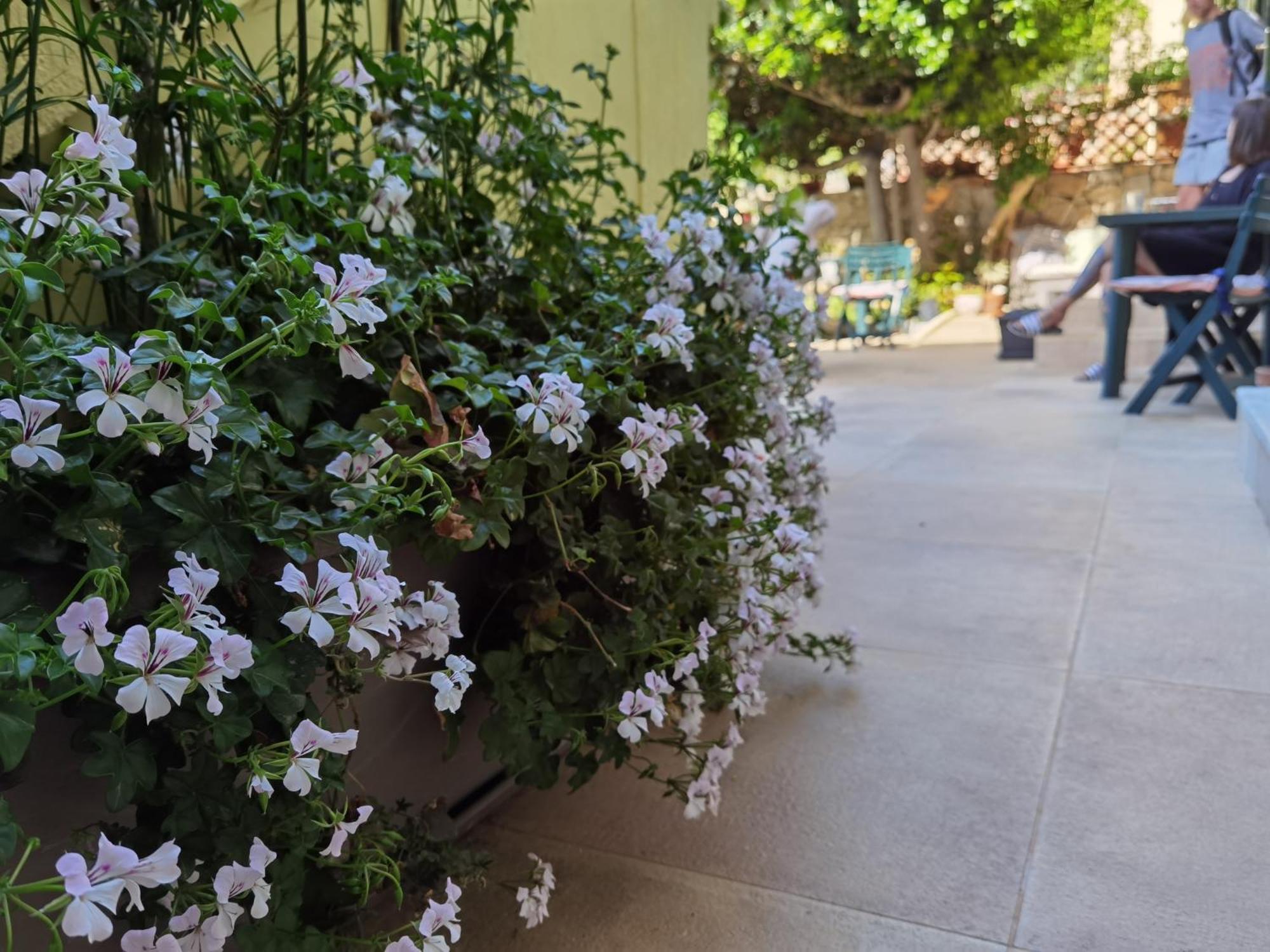 Il Giardino Di Tatiana Rooms & Breakfast ลามัดดาเลนา ห้อง รูปภาพ